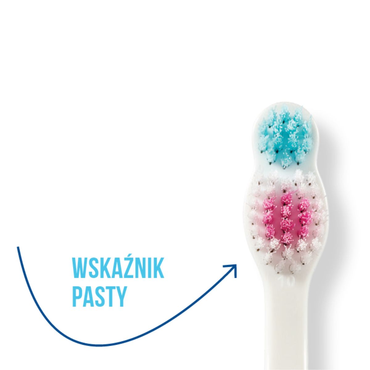 Wskaźnik ilości pasty szczoteczka Jordan 6-9 lat